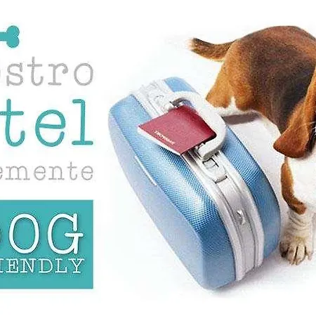 Hotel Hotel City 4*