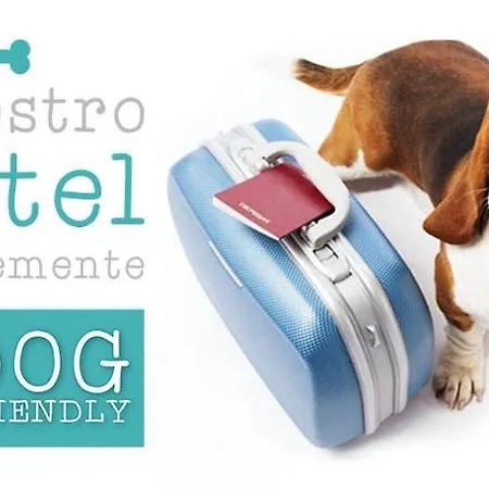 Ξενοδοχείο Hotel City 4*